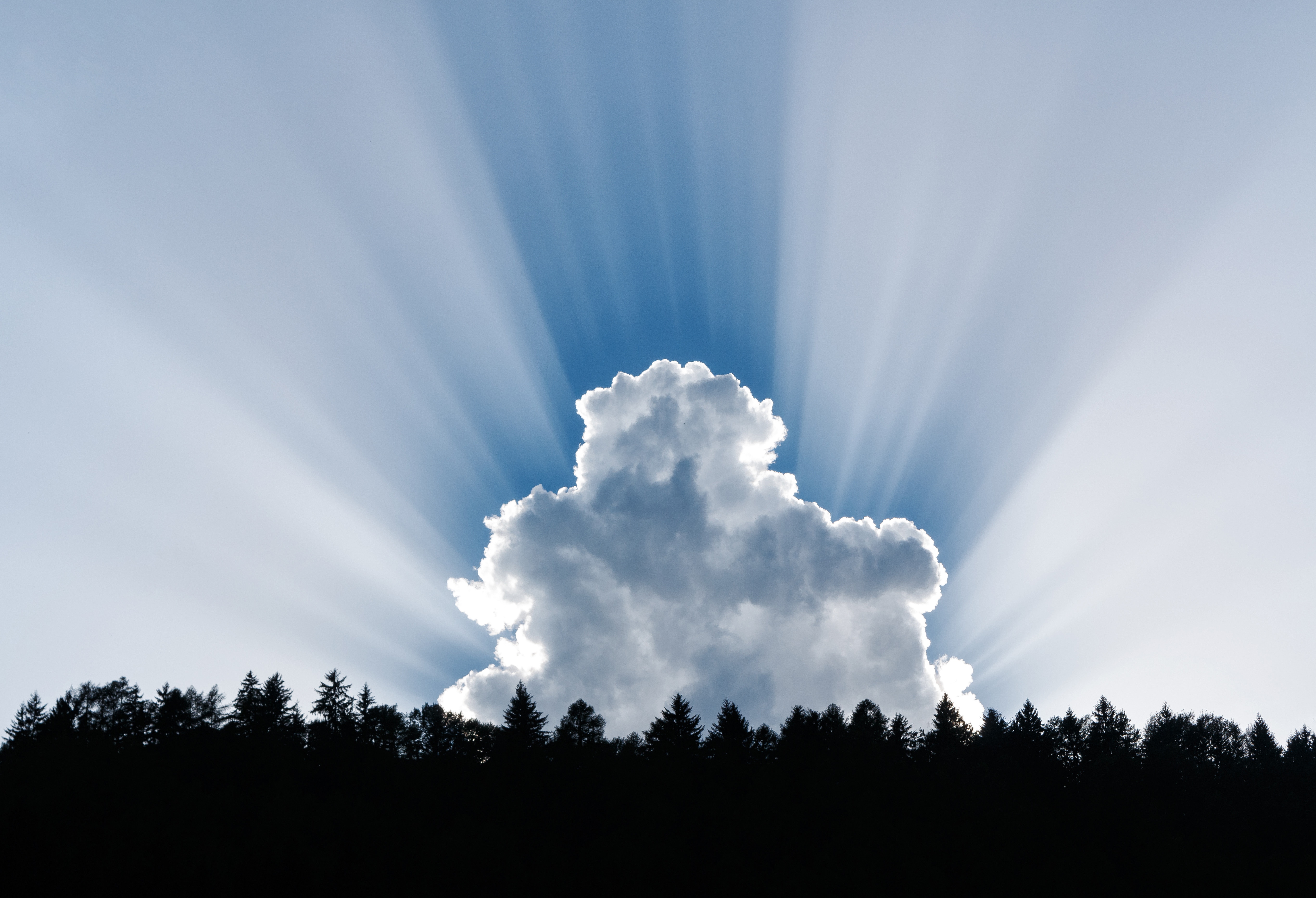 Cumulonimbus Calvus